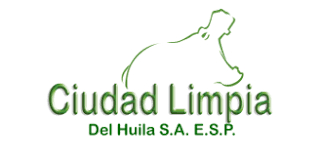 Cliente 7