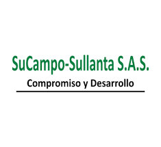 Cliente 19